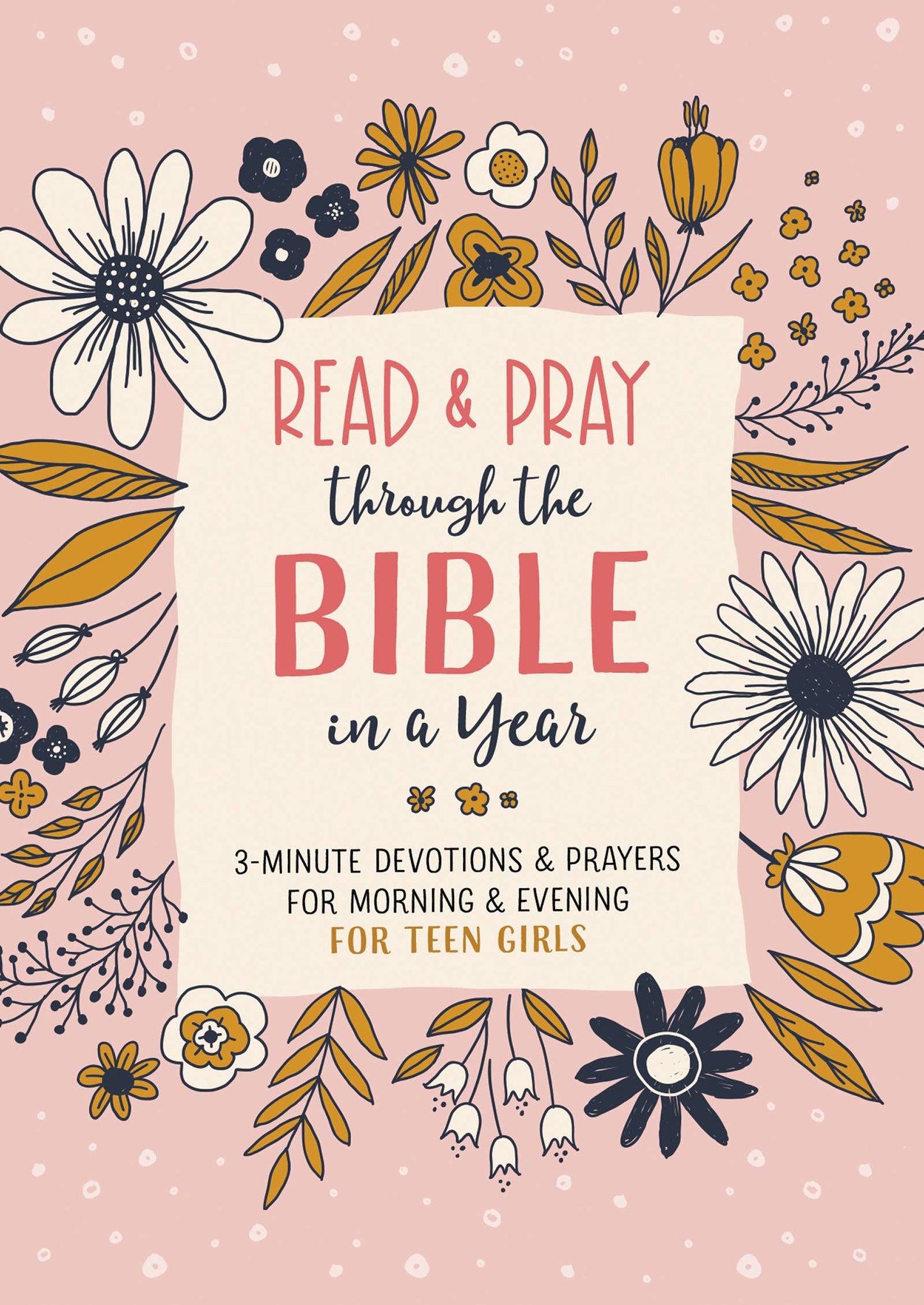 Read and Pray through the Bible in a Year (teen girl)
