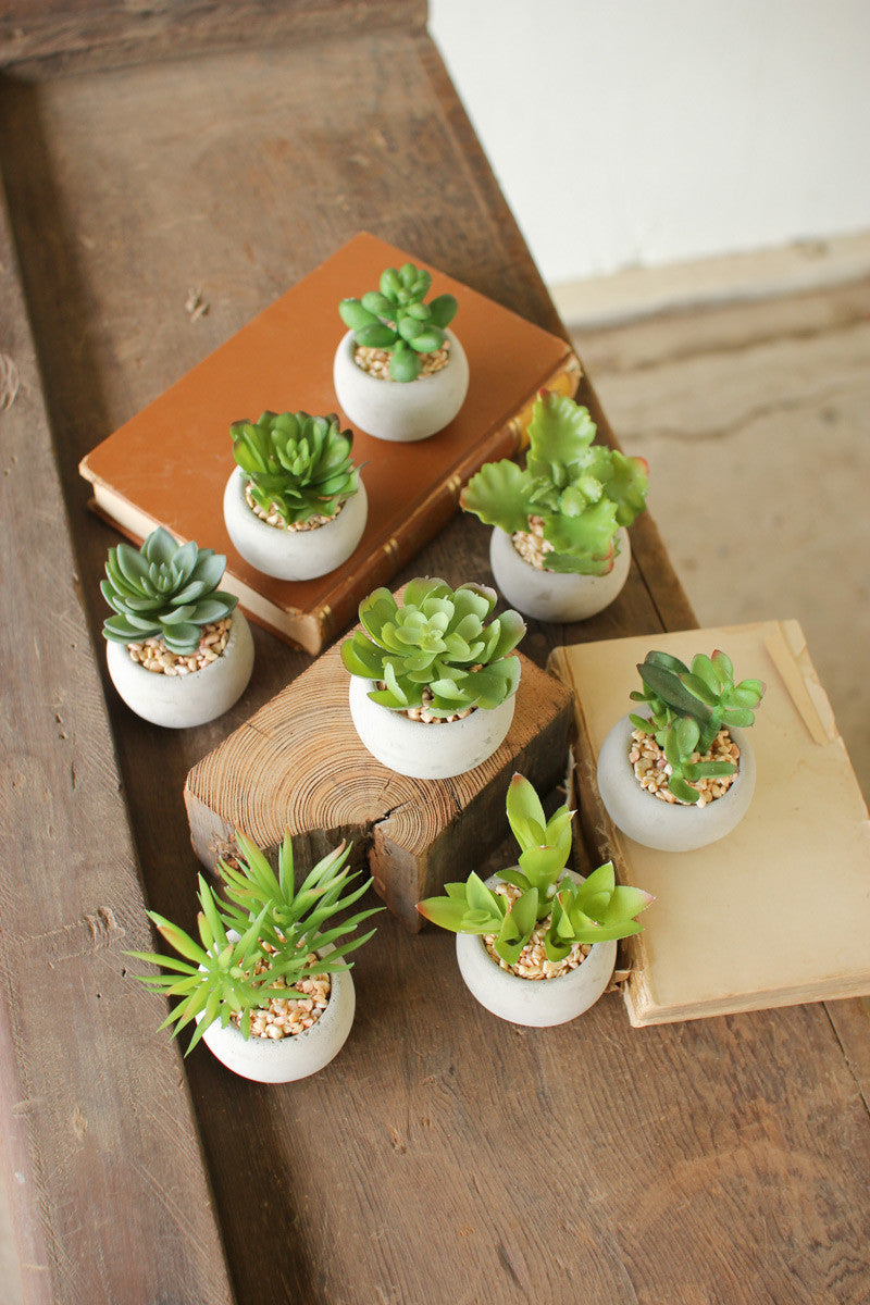 small potted succulents, feathered farmhouse