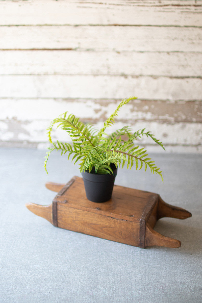 Potted Fern, The Feathered Farmhouse