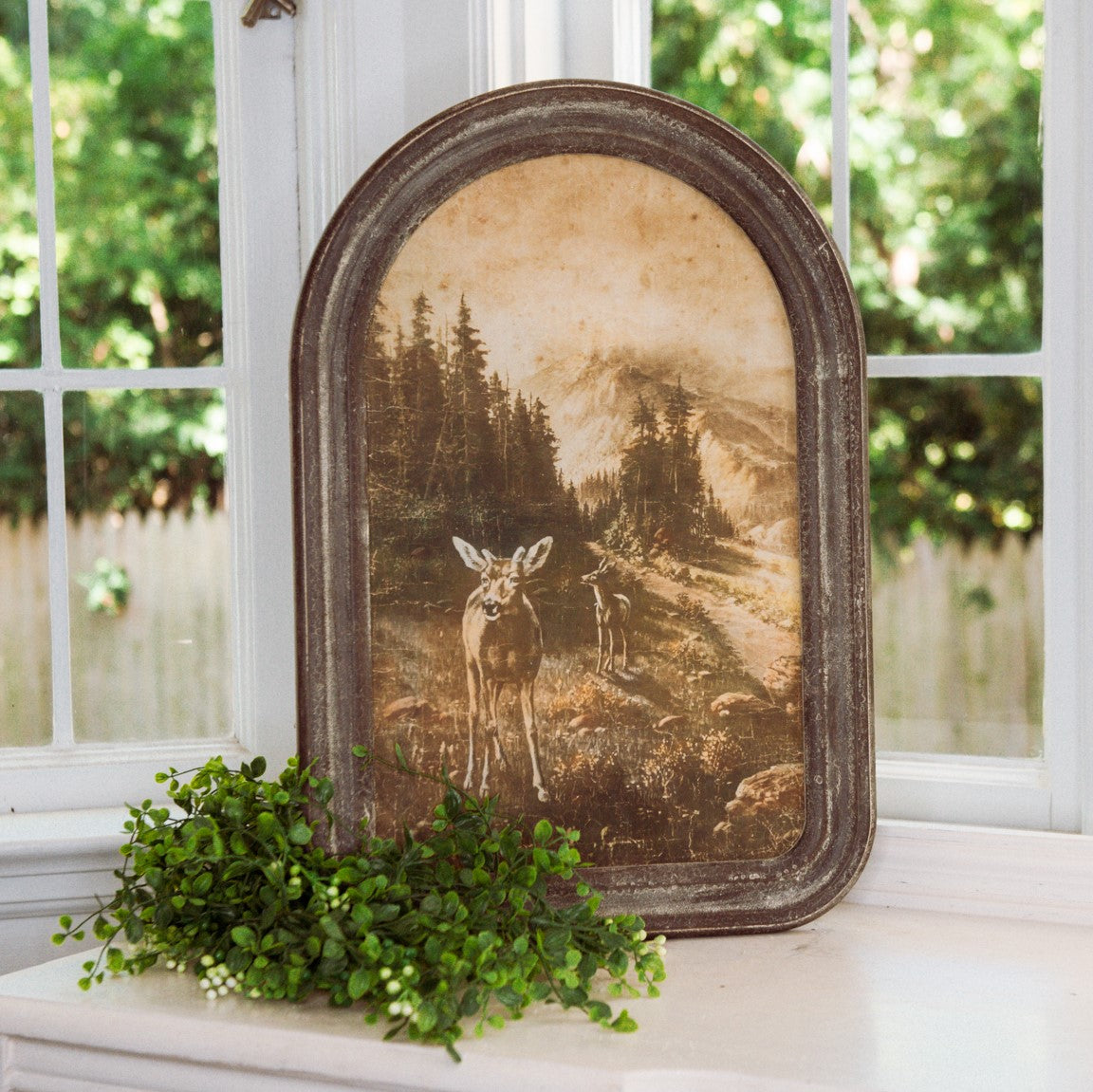 Framed Deer Print