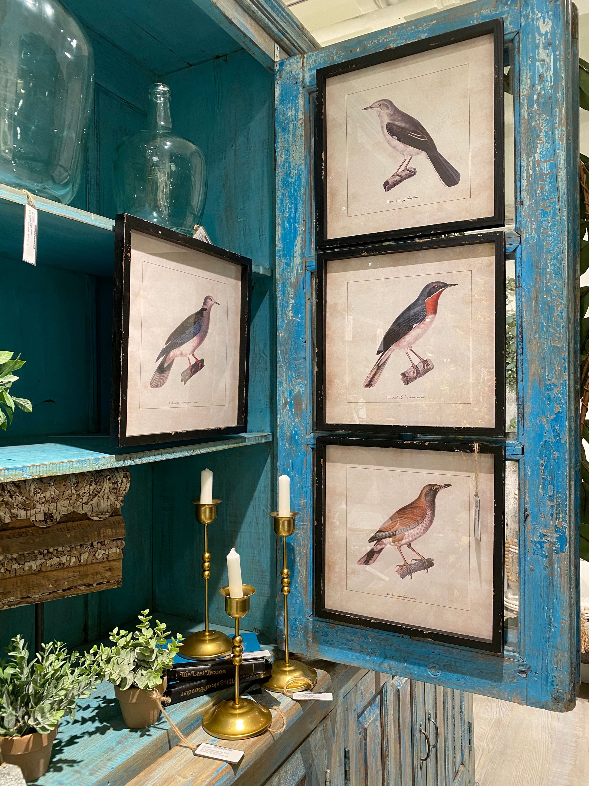 Herrington Hills Bird Prints, The Feathered Farmhouse