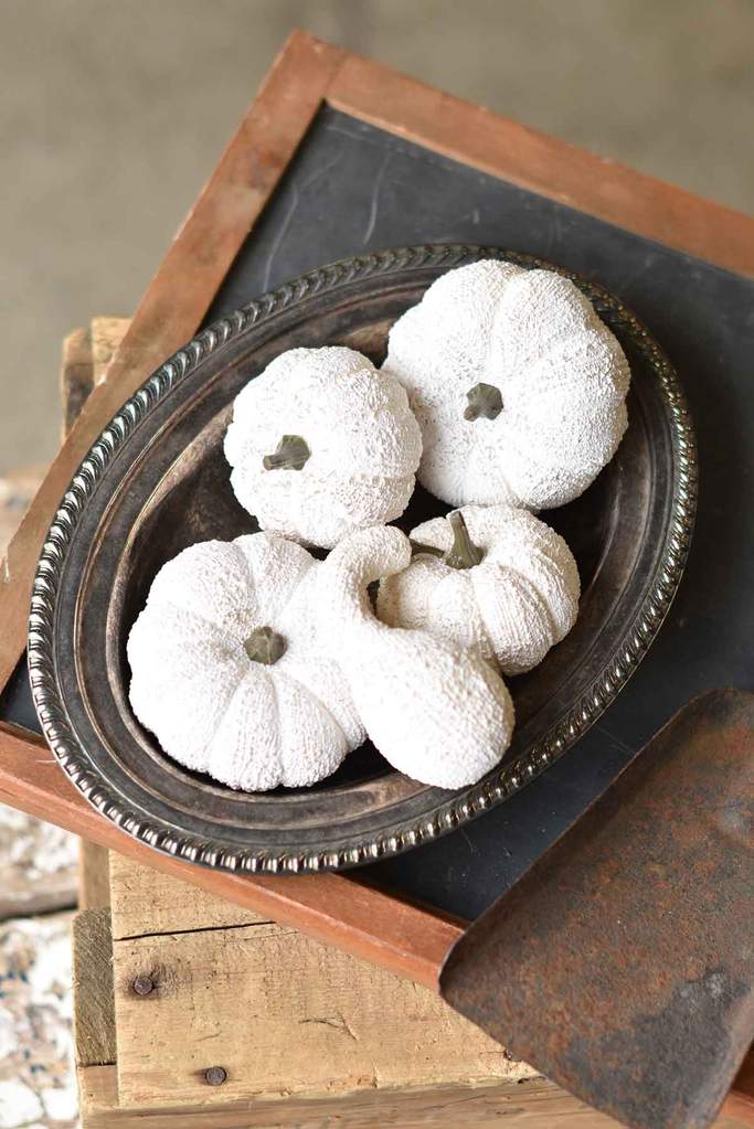 Full Moon Pumpkins, The Feathered Farmhouse