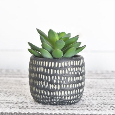 Black Potted Succulent, The Feathered Farmhouse