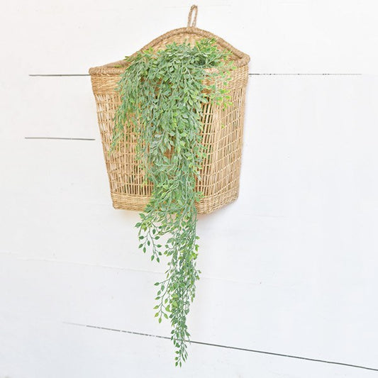 Hanging Sysygium