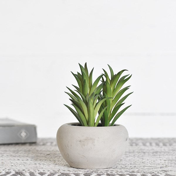 Faux Aloe The Feathered Farmhouse