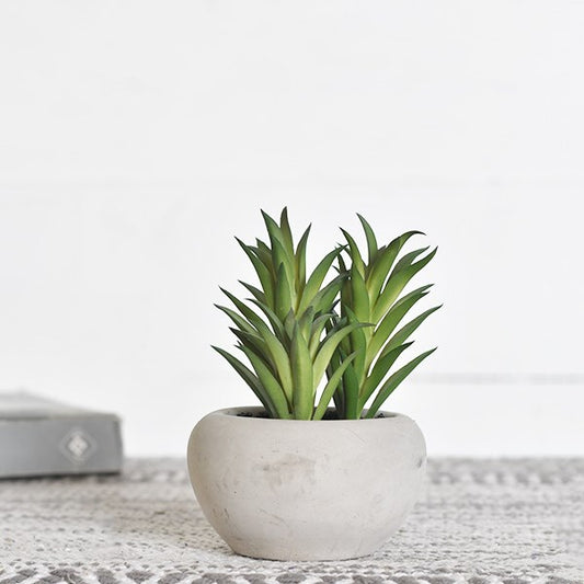 Faux Aloe The Feathered Farmhouse