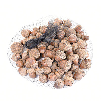 Acorns, the feathered farmhouse