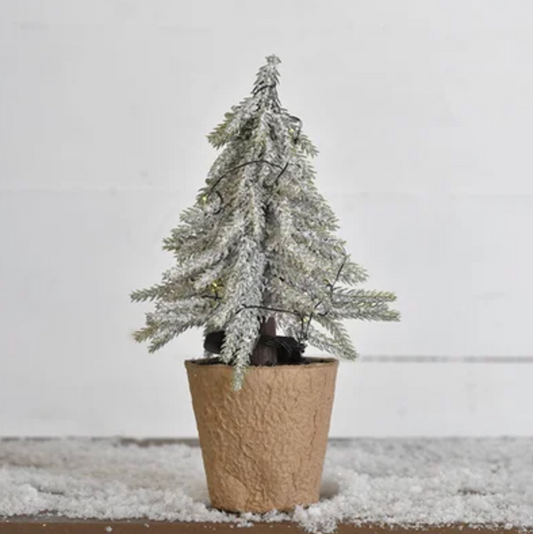 Droop Snow Tree, Feathered Farmhouse