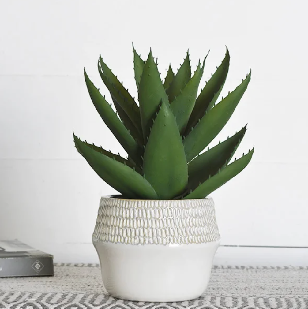 Dot Pattern Planter, The Feathered Farmhouse