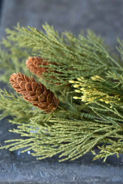 Alpine Cedar Hanging, The Feathered Farmhouse