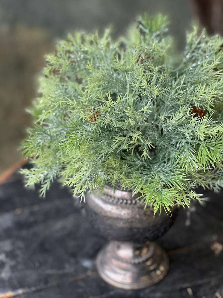 Stellar Cypress Orb, The Feathered Farmhouse