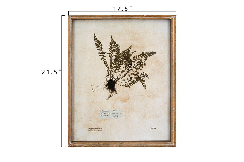 Vintage Fern Shadow Box, The Feathered Farmhouse – The Feathered
