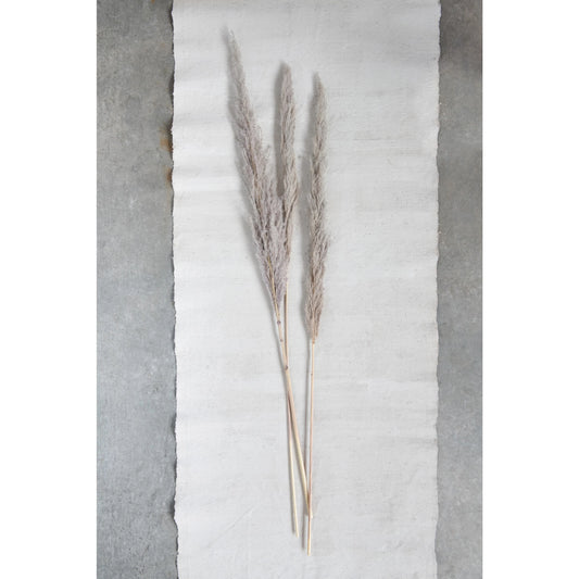 The Feathered Farmhouse, Dried Pampas Bunch
