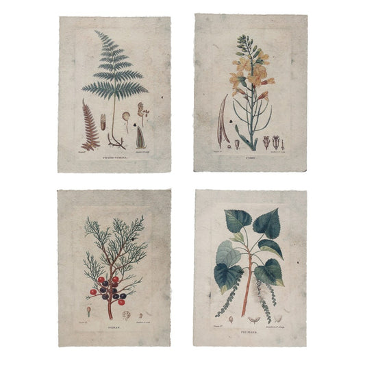 Paper Vintage Botanical Prints