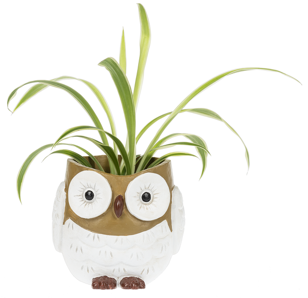Owl Planter Pot, Feathered Farmhouse