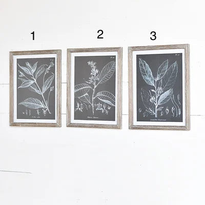 Black & White Leafy Prints