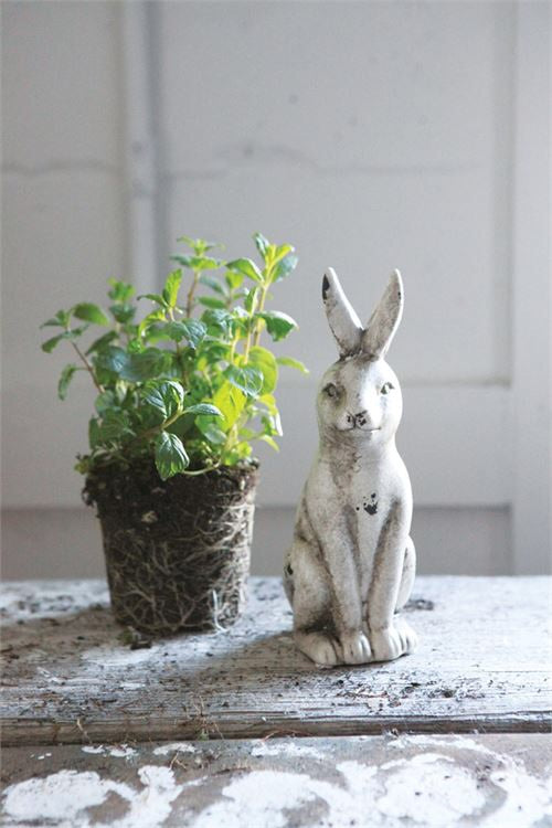 Distressed Rabbit, The Feathered Farmhouse