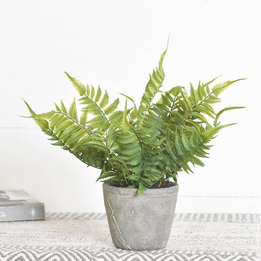 Cement Potted Fern