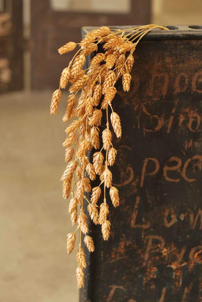 Beige Hanging Hops, Feathered Farmhouse